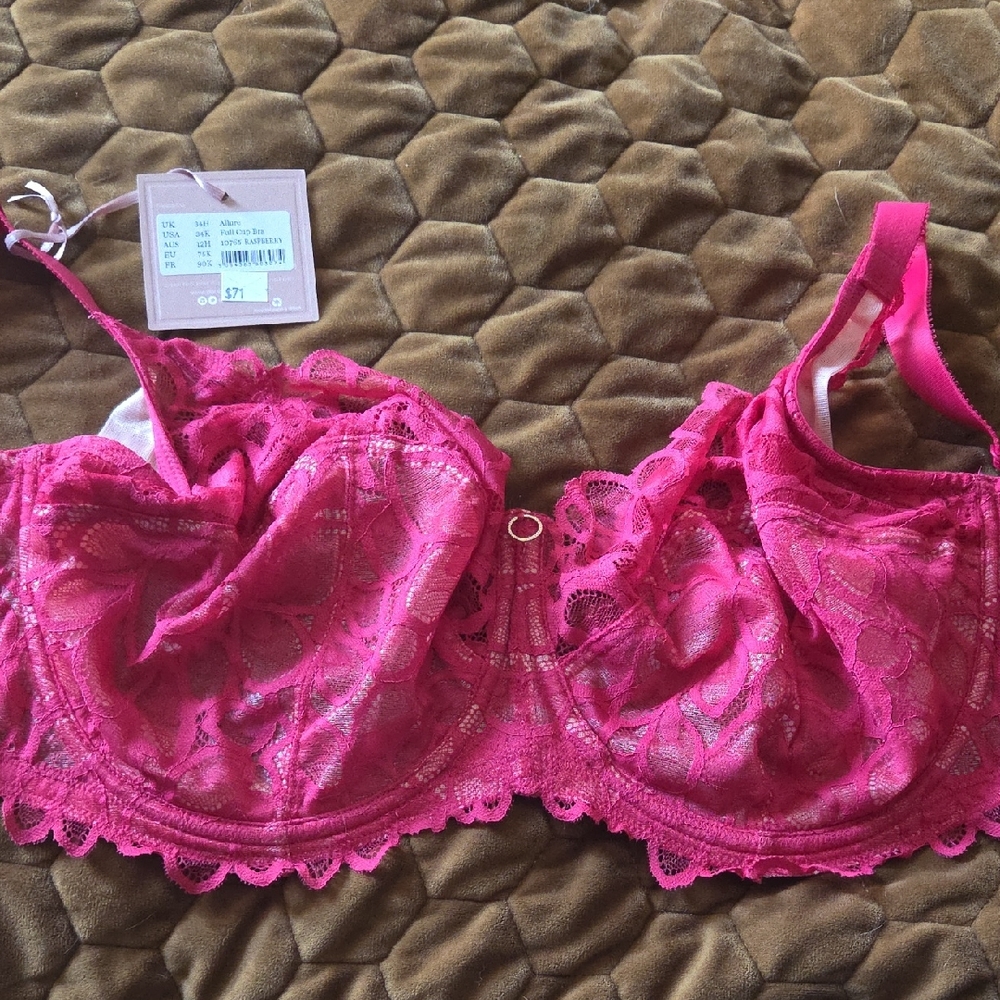 Panache Allure Fuchsia Bra 34K/34H
